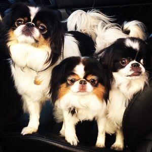 Meet your Posher, Keri